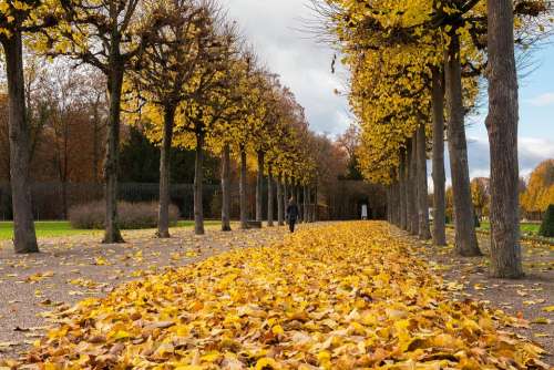 Palace Autumn Leaves Building Park Travel