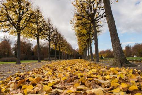 Palace Autumn Leaves Building Park Travel