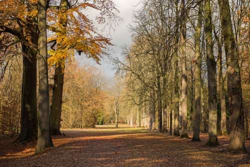 Palace Autumn Leaves Building Park Travel