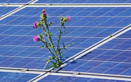 Photovoltaic Solar Photovoltaic Solar Energy