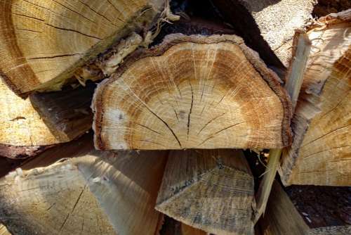 Pile Of Wood Firewood Woods Log Hacked Sawn