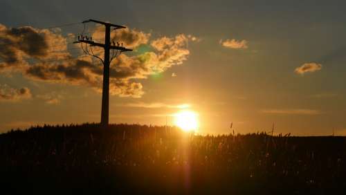 Power Poles Evening Current Energy Sun Sunset