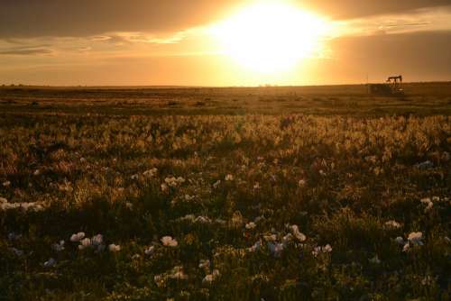 Prairie Sunset Landscape Field Oil Well