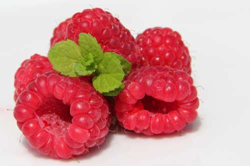 Raspberry Mint Berries Fruit Raspberries Red Ripe