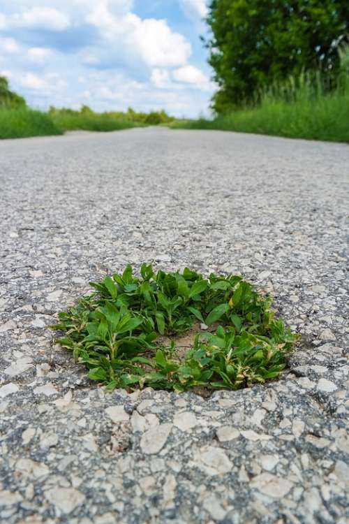 Road Away Target Just Vanishing Point Grass Island