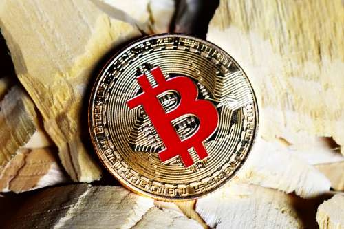 Rusty Wooden Red Bitcoin Wood Chip Gold Bitcoin