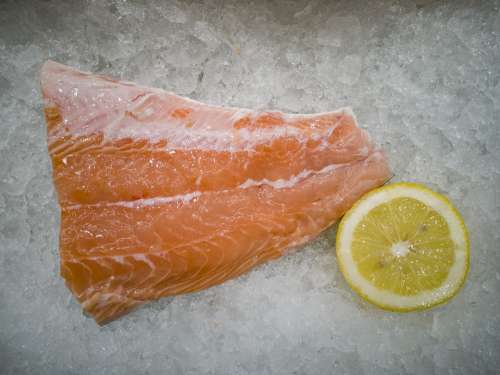 Salmon Fish Vitamin Fresh Red Raw Cook Ice