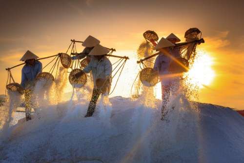 Salt Field Province Vietnam Work Sunlight Workers