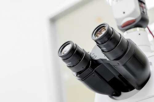 Scope Microscope Camera Experiment Sience