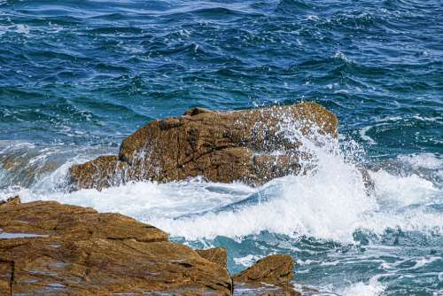 Sea Stones Water Rocks Beach Coast Ocean Nature