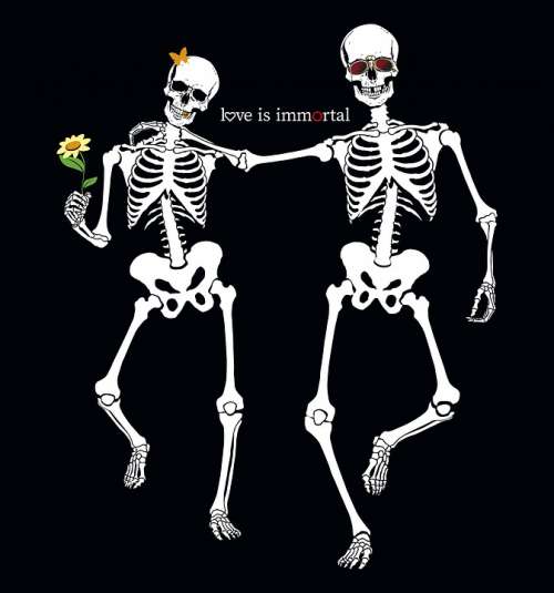 Skull Skeleton Bone Stroll Man Love People