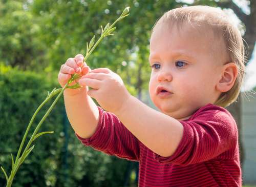 Small Child Explore Nature Child Childhood Summer