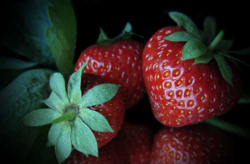 Strawberries Collective Nut Fruit Mirrored Red