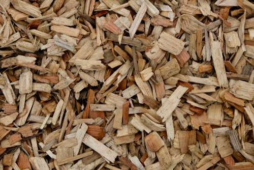 Structure Mulch Wood Nature