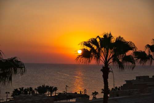 Sunrise Egypt Red Sea Palm Sea Water Hotel