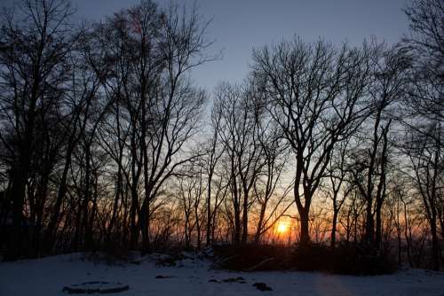 Sunset Tree Landscape Nature Sky Twilight Mood