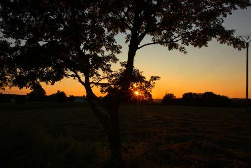Sunset Trees Twilight Evening Light Romantic Mood