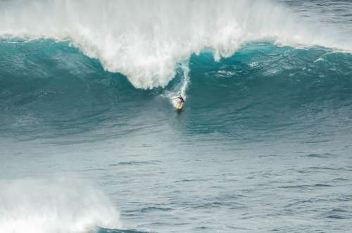 Surfer Sport Person Waves Water Speed Surfboard