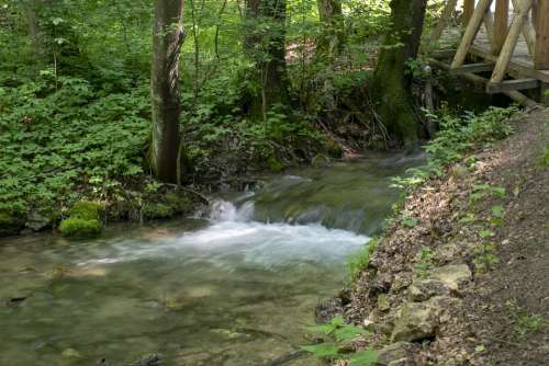 Szalajka Valley Stream Water Nature Flow Outdoor