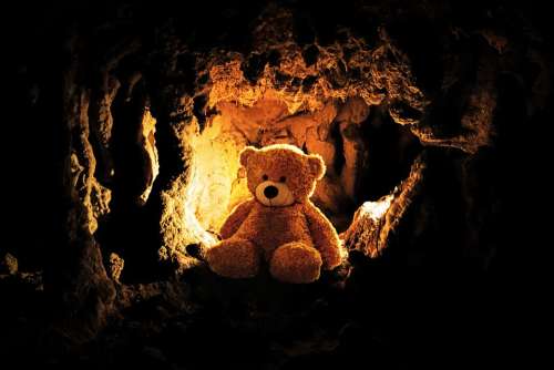 Teddy Bear Toys Teddy Bear Play Children Cave