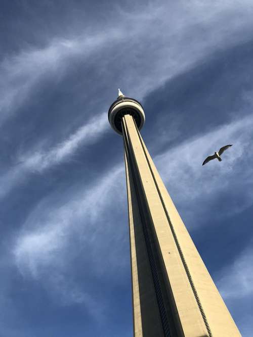 The Cn Tower Tower Cn Toronto Canada Ontario