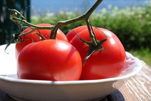 Tomatoes Food Health Day Vegetables Healthy Table