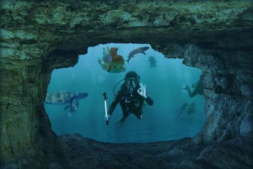 Water Sea Divers Swim Cave Hai Girl Turtle