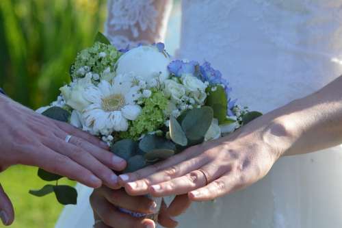 Wedding Alliance Hands Fingers Union Love
