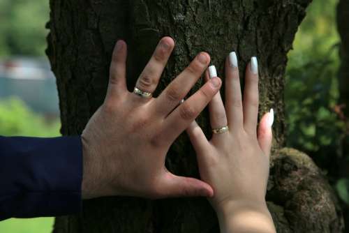 Wedding Rings Love Bride Romantic Marriage