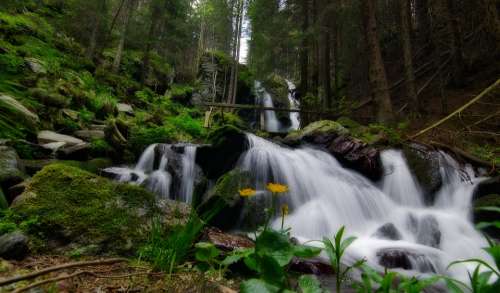 White Water Waterfall Nature Landscape Rock Scenic