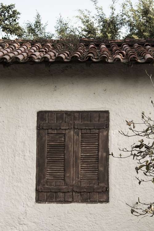 Window Nature Wood Home Texture