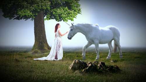 Woman Queen Human Horse Animal Unicorn White