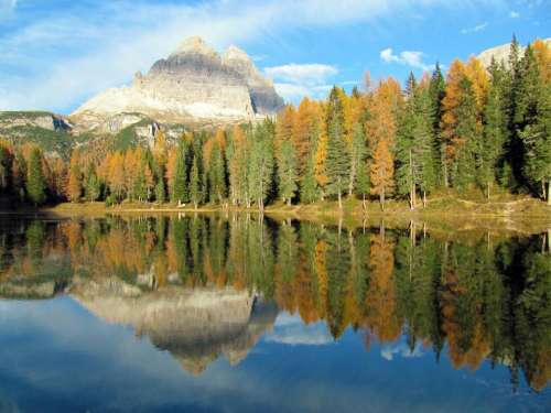 mountain landscape trees forest nature