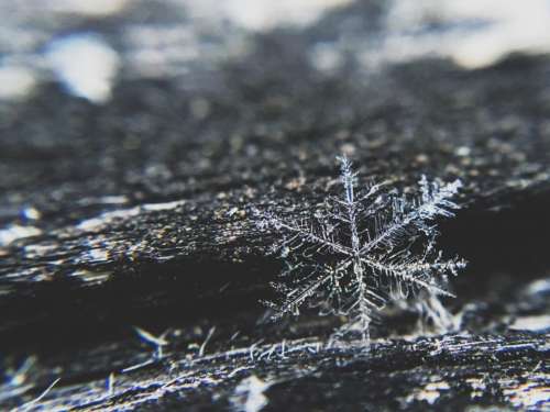 snowflake ice winter cold christmas