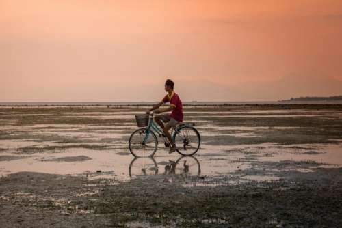 guy man male people cycling