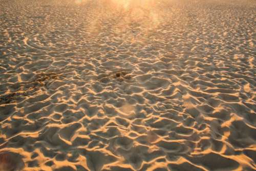 beach sand footprints summer sunshine