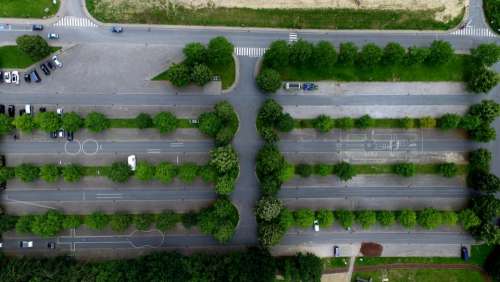 aerial view green trees plant