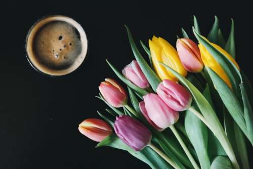 coffee cup flowers leaves plants