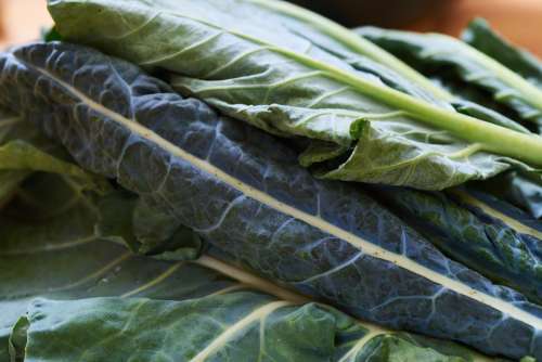 fresh kale macro food organic