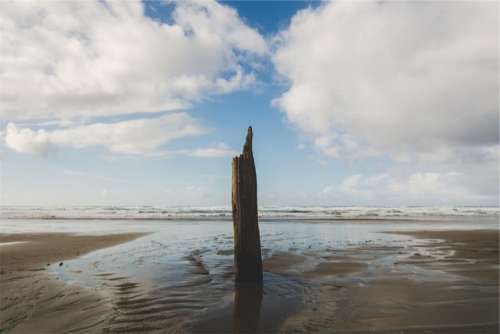 wood post beach sand shore