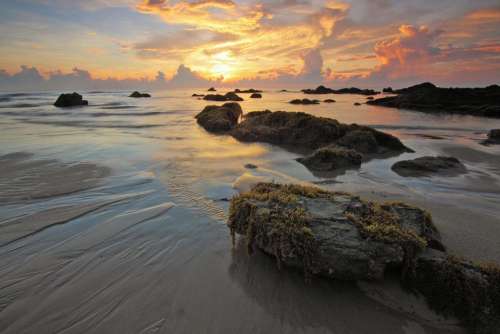 sea water beach nature coast