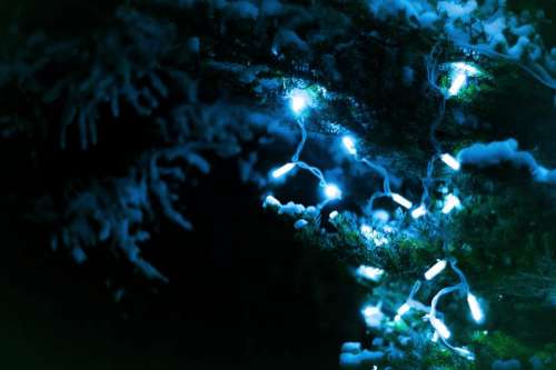 christmas lights tree night dark