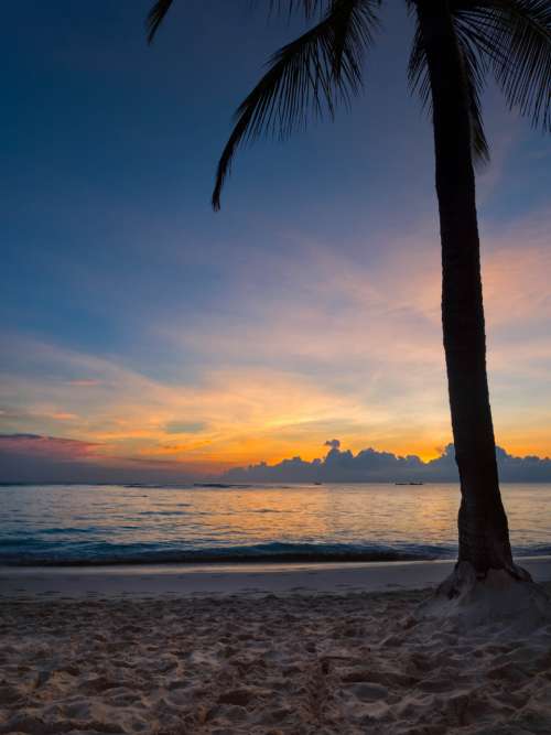 vacation beach sunset palm trees beautiful