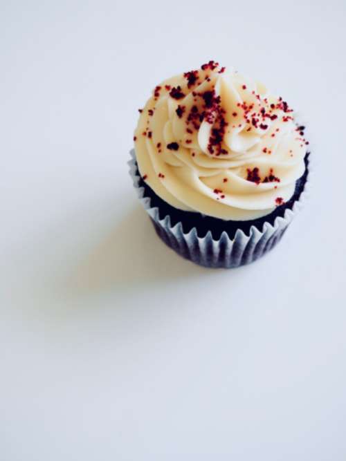 single cupcake sprinkles chocolate muffin
