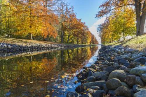 nature river trees plants autumn