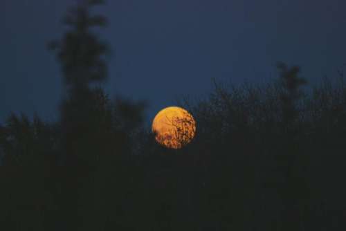 moon circle round dark night