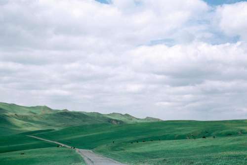 nature landscape green plains road