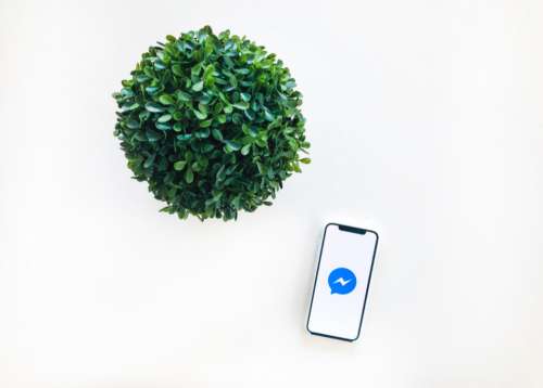 CRM Messenger Facebook iPhone X Plant