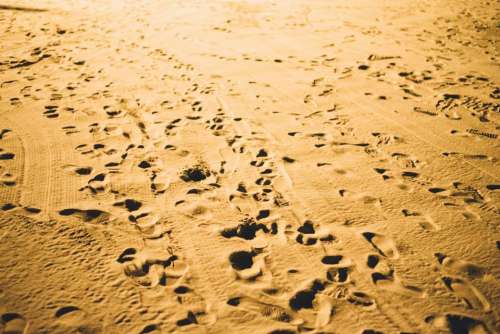 sand beach footsteps footprints shore