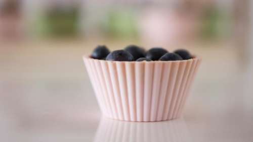 cupcake muffin bake blueberry berry